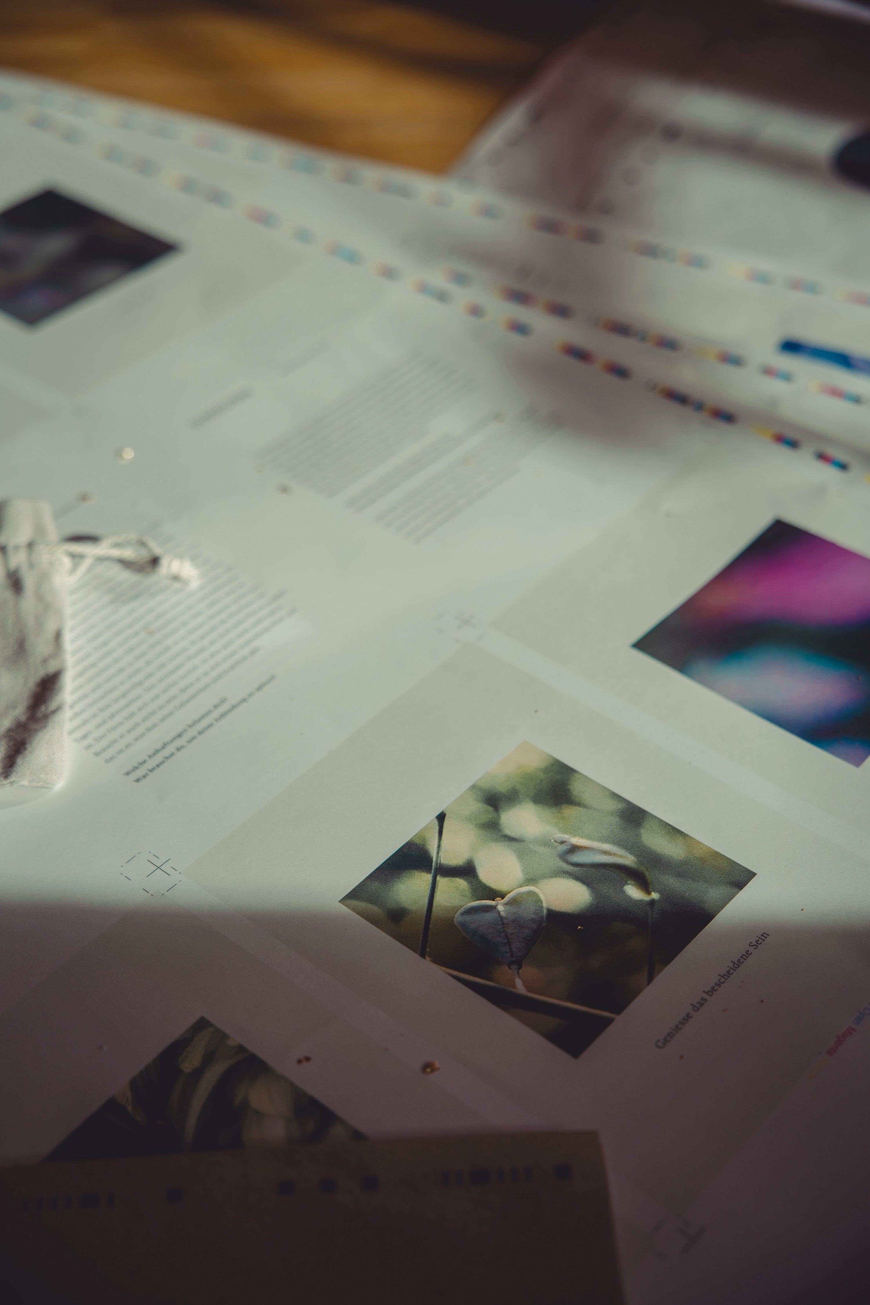 Flora - Pflanzenkartenset & Buch. Auflage 3