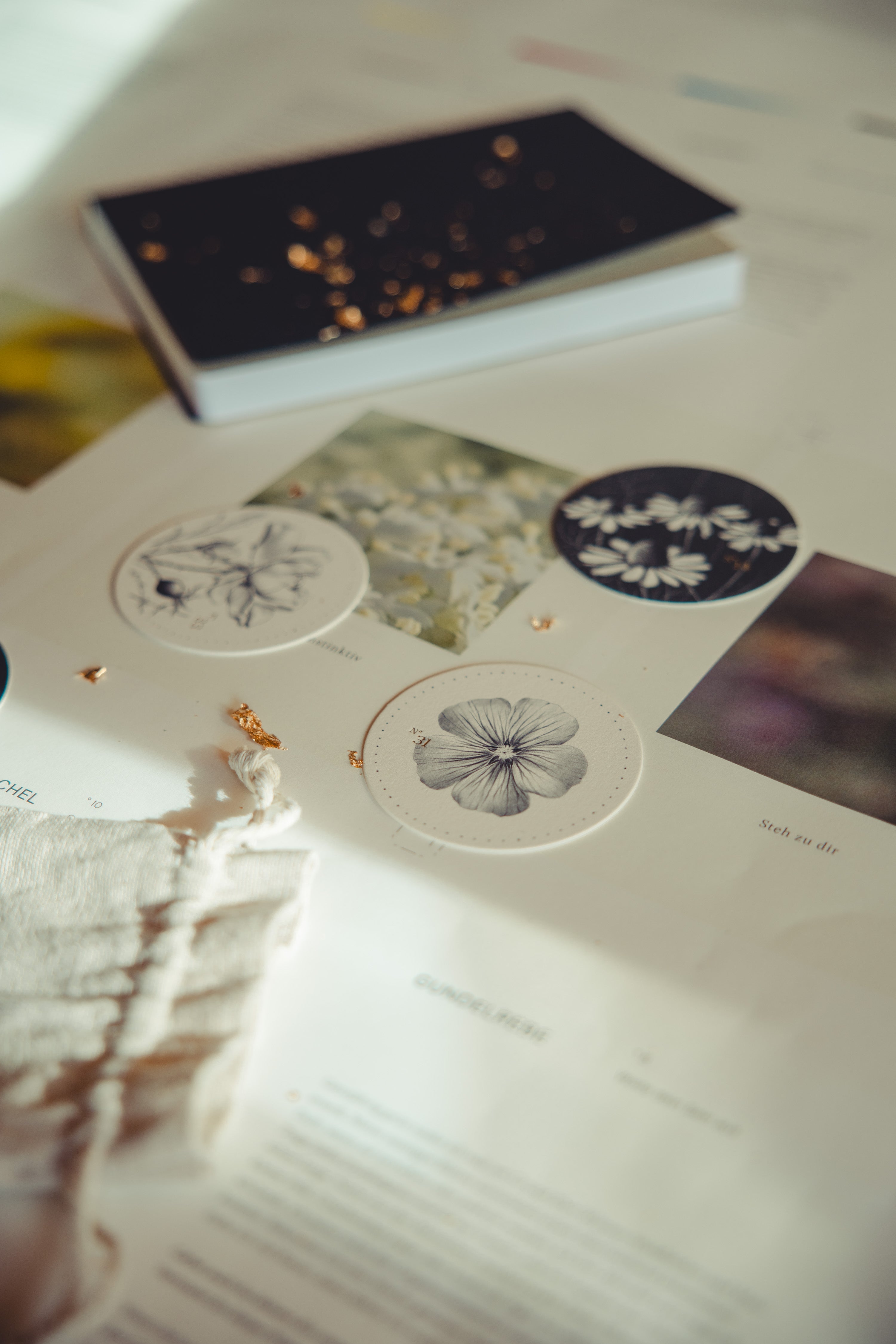 Flora - Pflanzenkartenset & Buch. Auflage 3